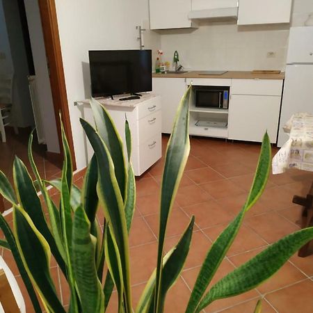 Gemini Appartamenti Grosseto Ngoại thất bức ảnh